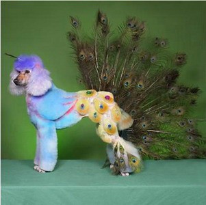 úprava do zámeckého parku