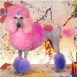 když barvy, tak pestré